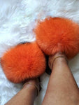 Fur Slides