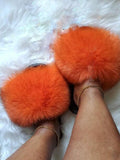 Fur Slides