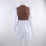 Patchwork Puff Sleeve Sexy Mini Dress