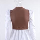 Patchwork Puff Sleeve Sexy Mini Dress